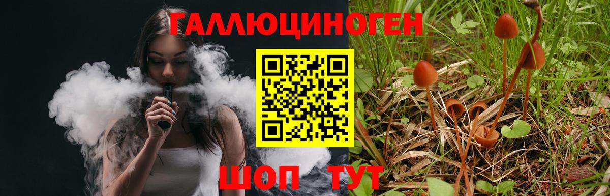 Псилоцибиновые грибы GOLDEN TEACHER  Вход с VPN  Протвино  Галлюциногенные грибы GOLDEN TEACHER 