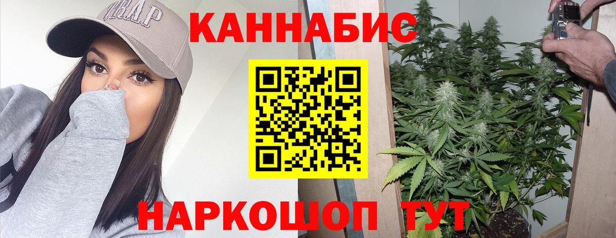 Протвино  Конопля планчик  Вход с VPN  Конопля Amnesia  Канабис гибрид 
